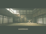 Desktop-Motiv_Dojo
