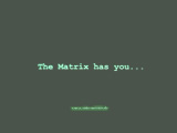 Desktop-Motiv_The_Matrix_has_you...